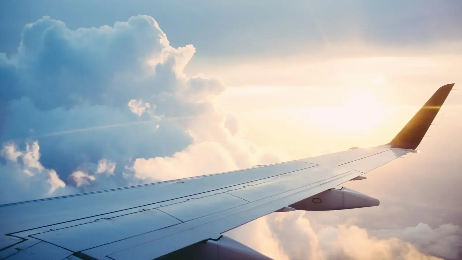Air tickets and hotels